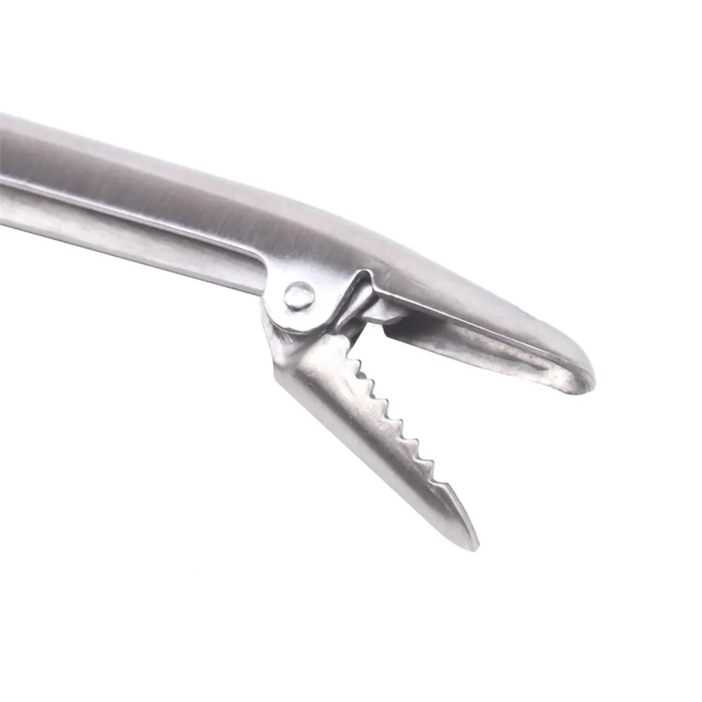 SANLIKE الفولاذ المقاوم للصدأ  - مراجعة Fishing Pliers وسعره