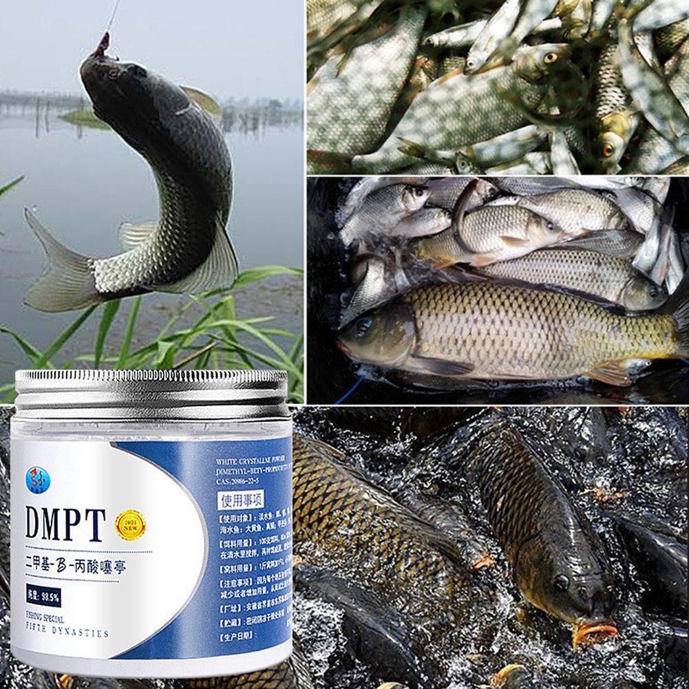 DMPT طعم صيد عالي النقاء مضاف  - مراجعة Fishing Equipment Market وسعره
